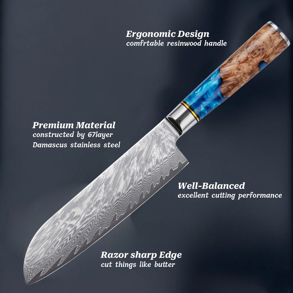 1-8pcs Professional kitchen knife set Damascus Steel Set for Meat Cutting Sushi Peeling and Boning Blue Resin Wood Handle
