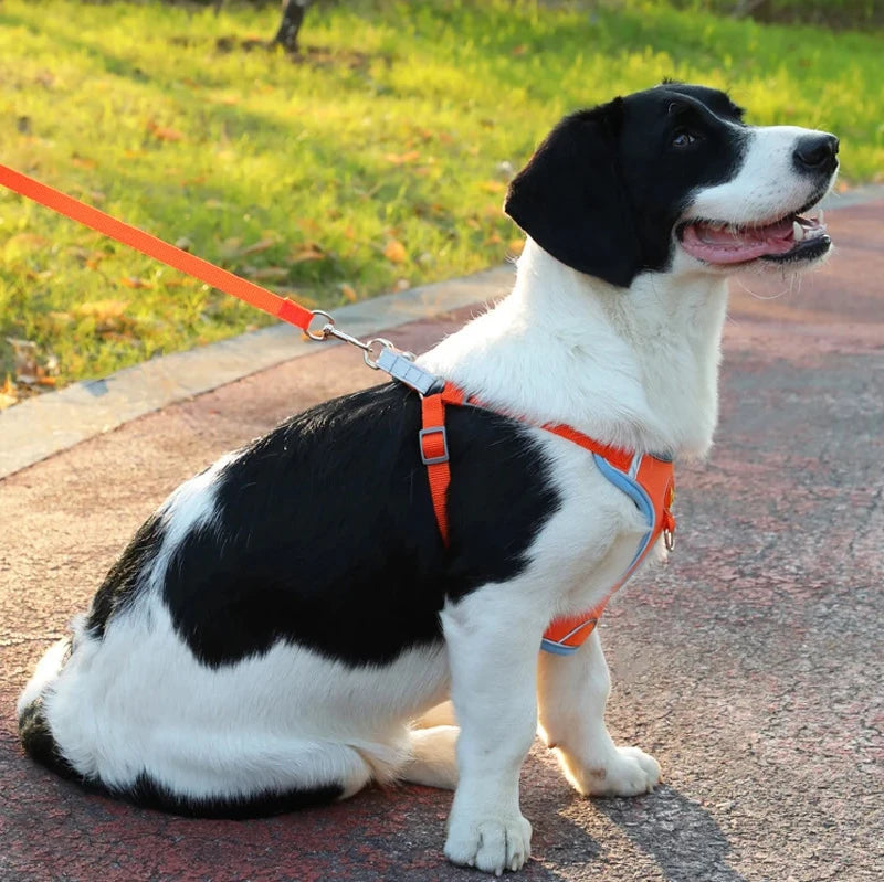 No-Pull Reflective Dog Harness with Soft Breathable Mesh