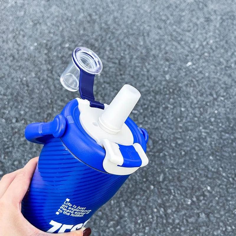 1pc Minimalist Sports-Style Insulated Water Bottle with Straw, 600ML with Handle, Lid Supporting Both Straw & Direct Drinking