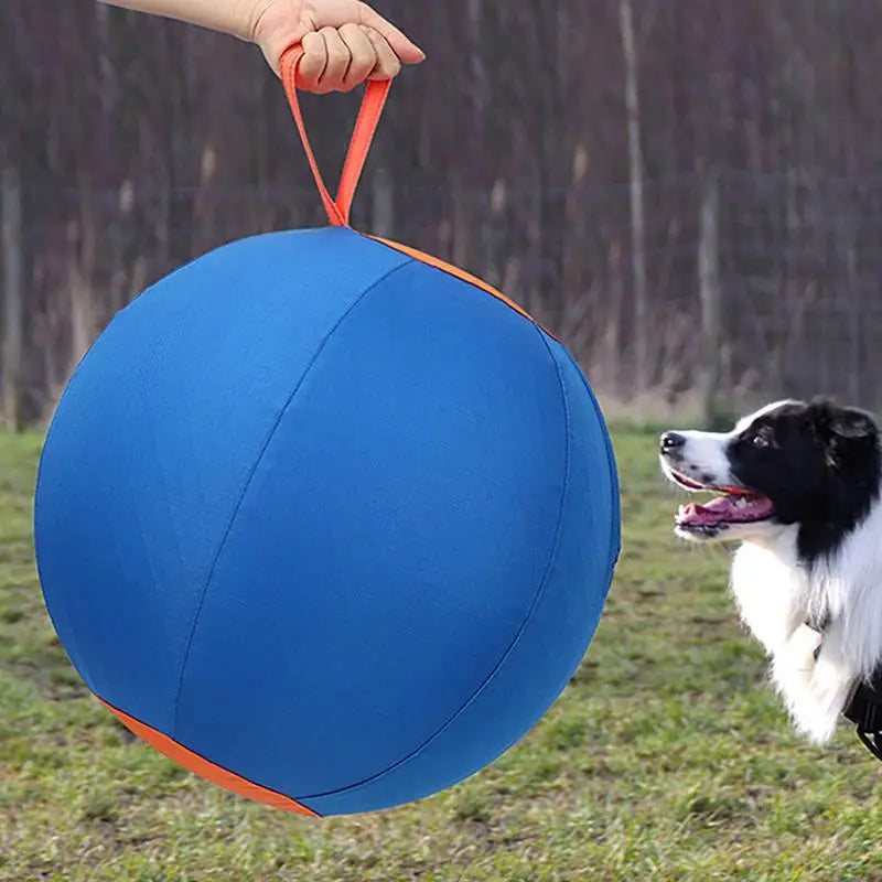 Large Herding Dog Ball Toy With Pump – Durable PVC Design