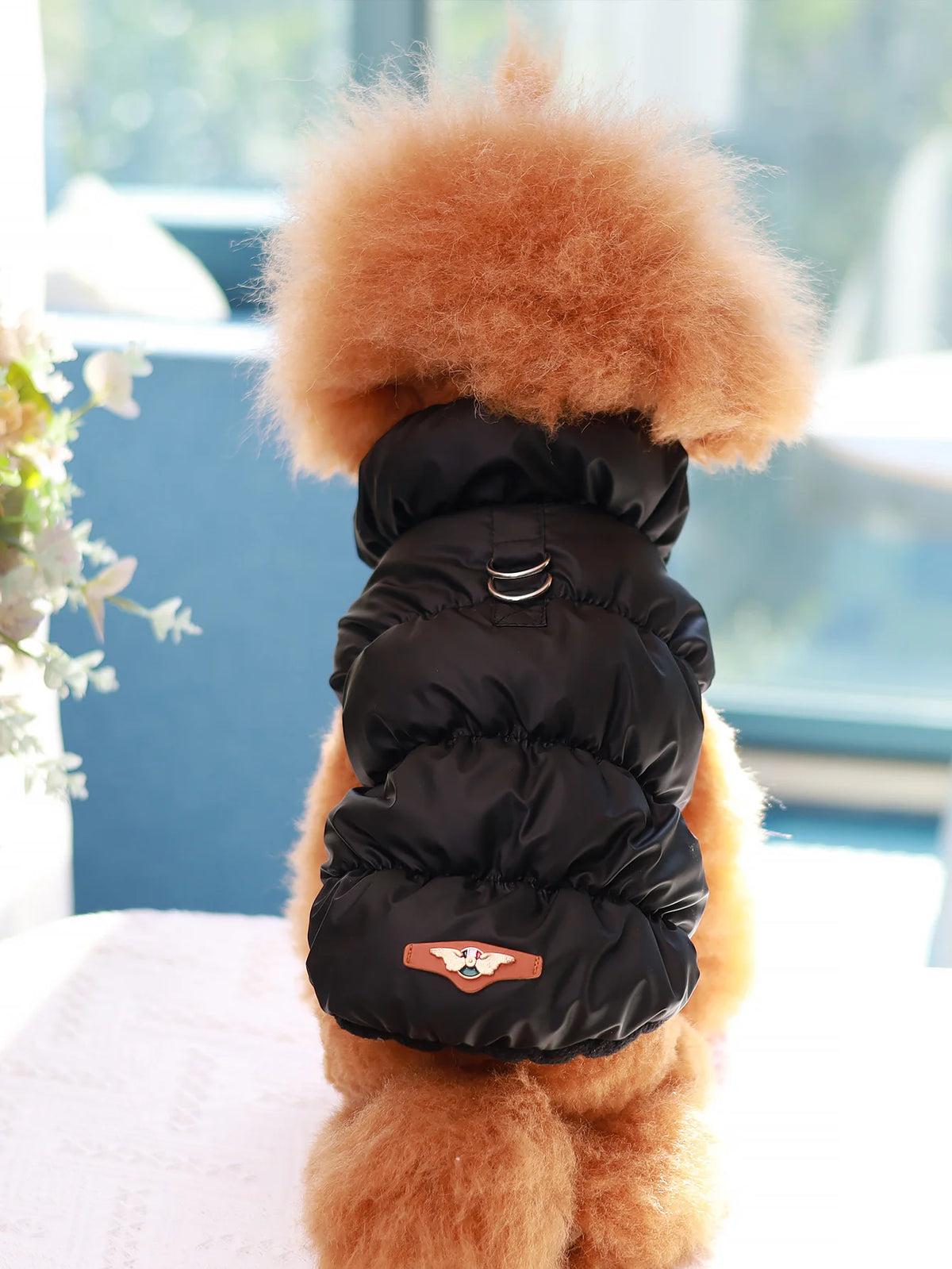 Three-Layer Winter Dog Jacket For Small And Medium Dogs