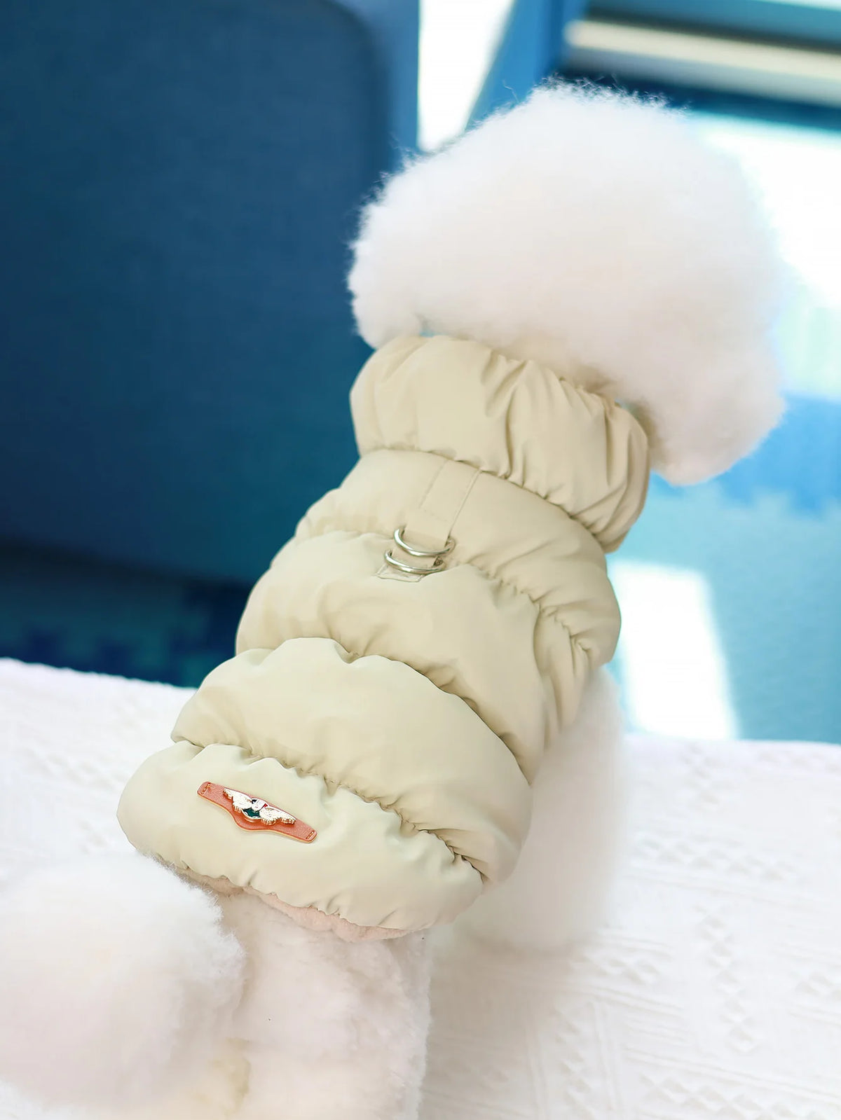 Light Grey Color Three-Layer Winter Dog Jacket For Small And Medium Dogs