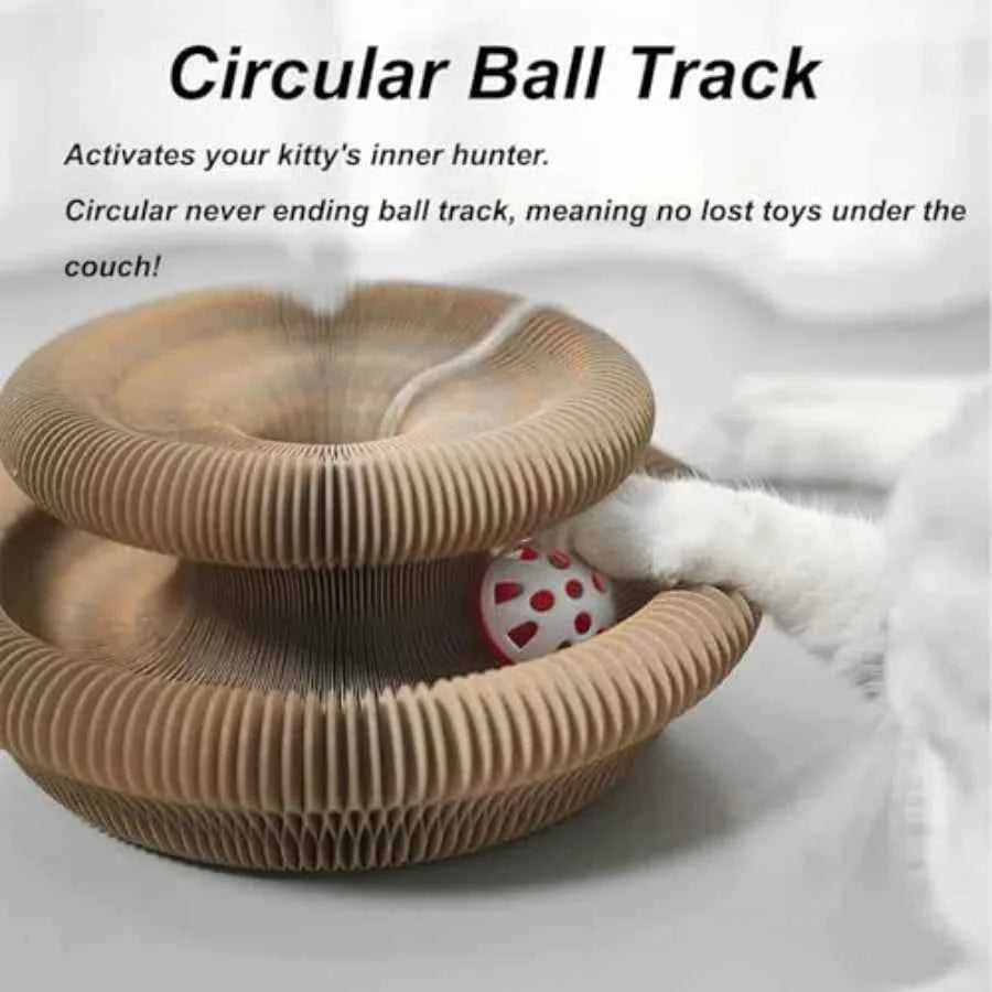 Magic Organ Cat Toy for Indoor Cats Foldable Recyclable Accordion Scratcher Board with Ball Interactive Play Pad in Multi-Color