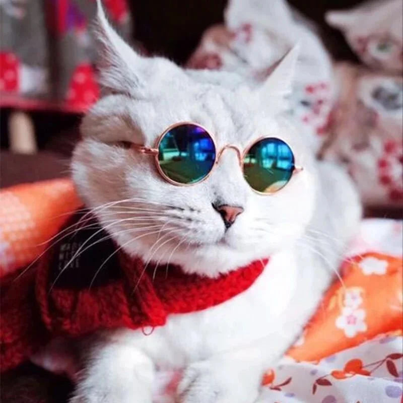 Non-Slip Cat Glasses Pet Accessories Small Dog Sunglasses Puppy Kitty Cosplay Costume Photo Props Cute Animal Eyewear