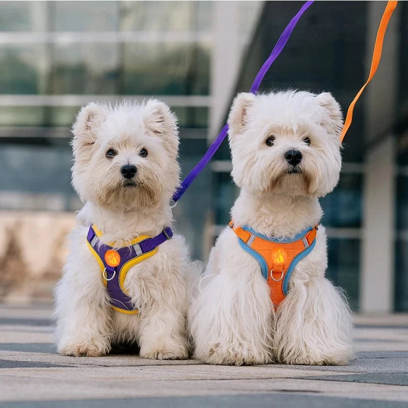 No-Pull Reflective Dog Harness with Soft Breathable Mesh