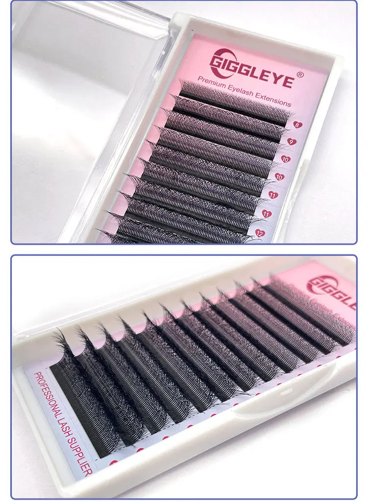 6D W Shape Eyelash Extensions - Pre Made Self Fan Lashes for Easy Application | Blooming Lashes Professional Kit