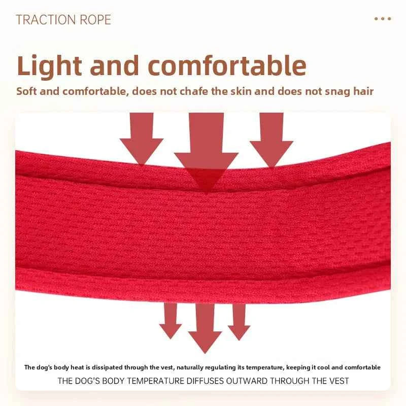 No-Pull Y-Shaped Dog Harness With Reflective Straps