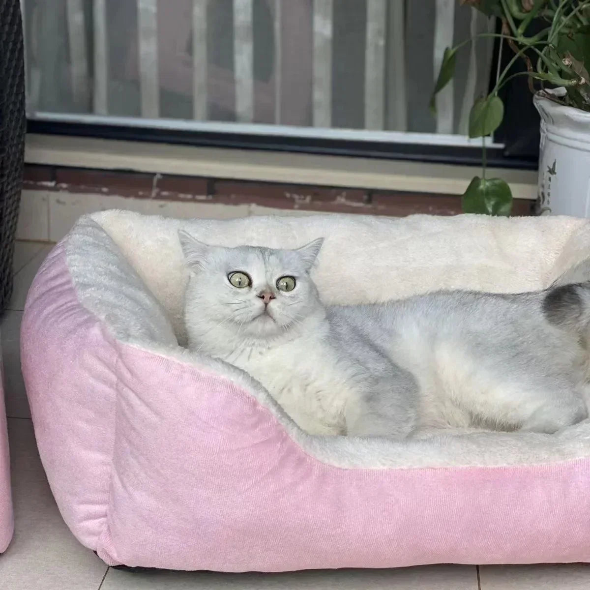 Plush Breathable Cat Bed – Soft Elevated Pet Nest