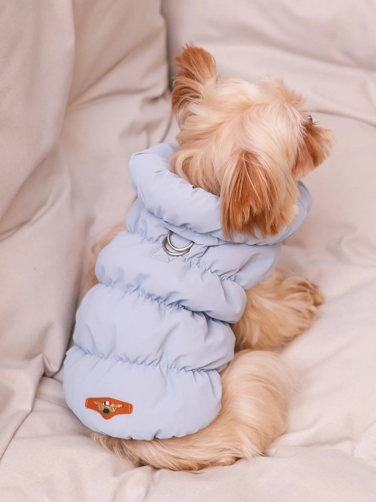 Three-Layer Winter Dog Jacket For Small And Medium Dogs