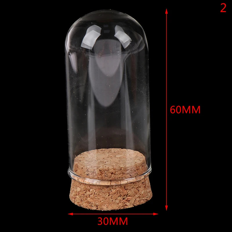 1/6 Doll Glass Dome Display Wood Cork Bell Jar With Wooden Base Decoation Craft