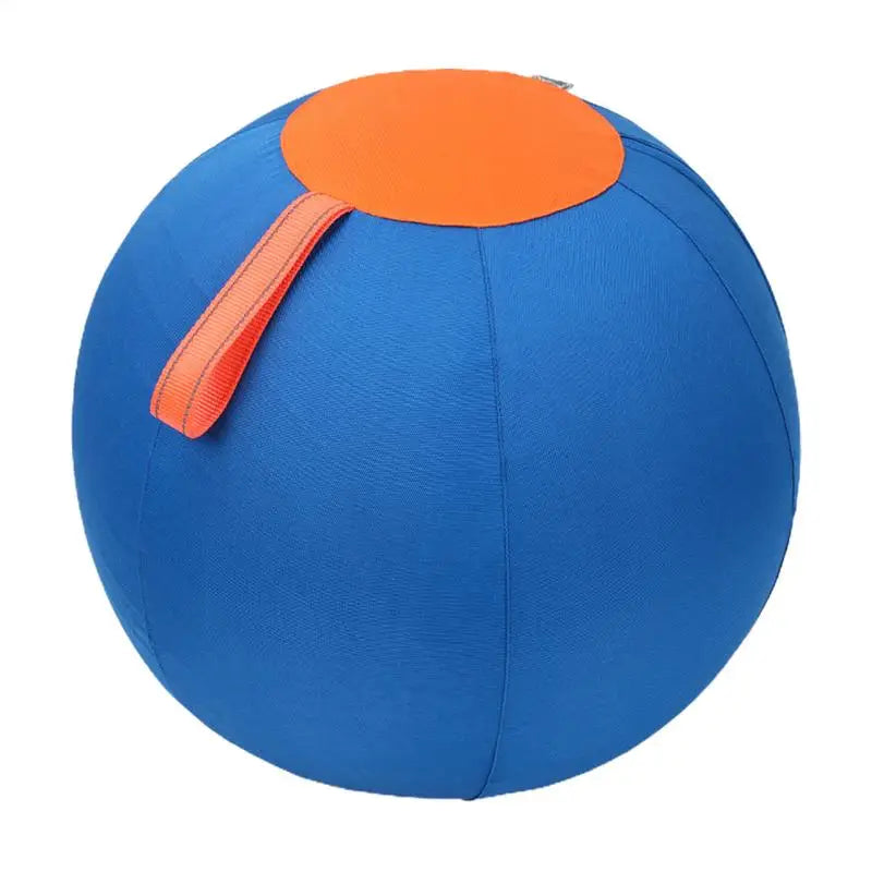 Large Herding Dog Ball Toy With Pump – Durable PVC Design