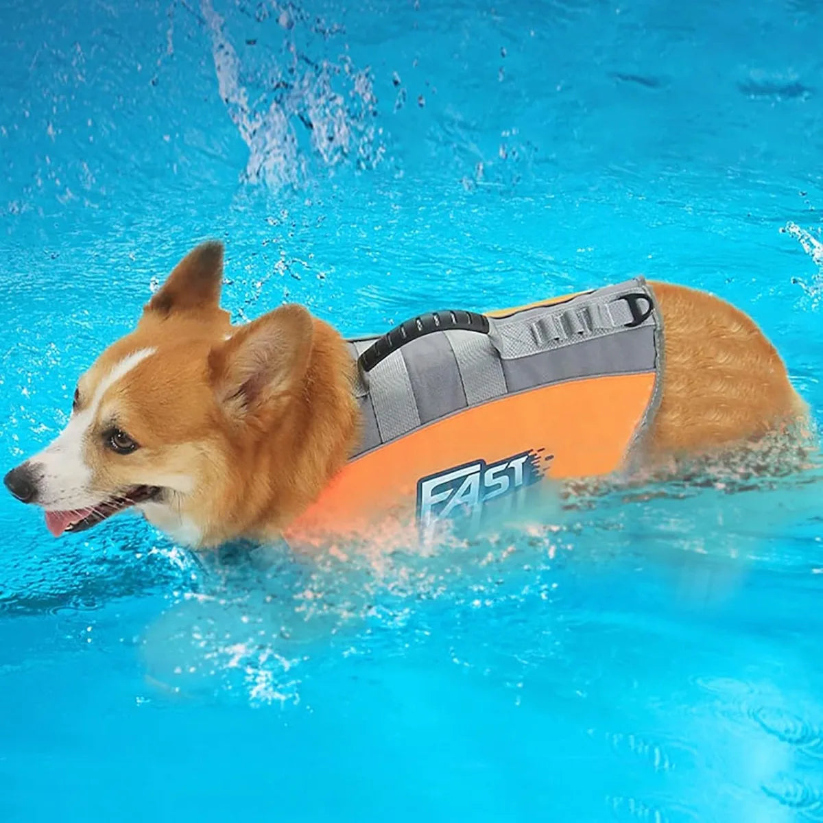 Pets Floatation Vest Adjustable Ripstop Safety Dog Swimsuit for Summer Beach Surfing Training Essential Dog Life Jacket Supplies