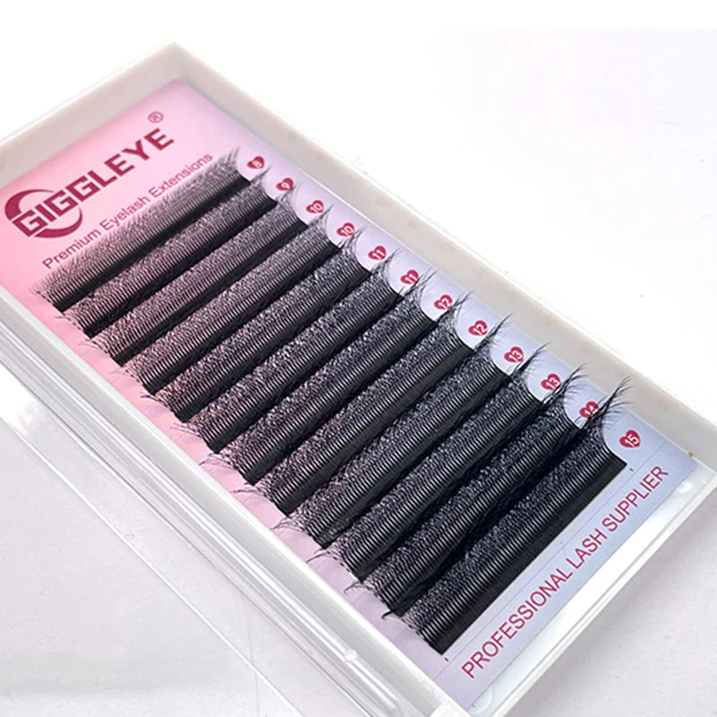 6D W Shape Eyelash Extensions - Pre Made Self Fan Lashes for Easy Application | Blooming Lashes Professional Kit