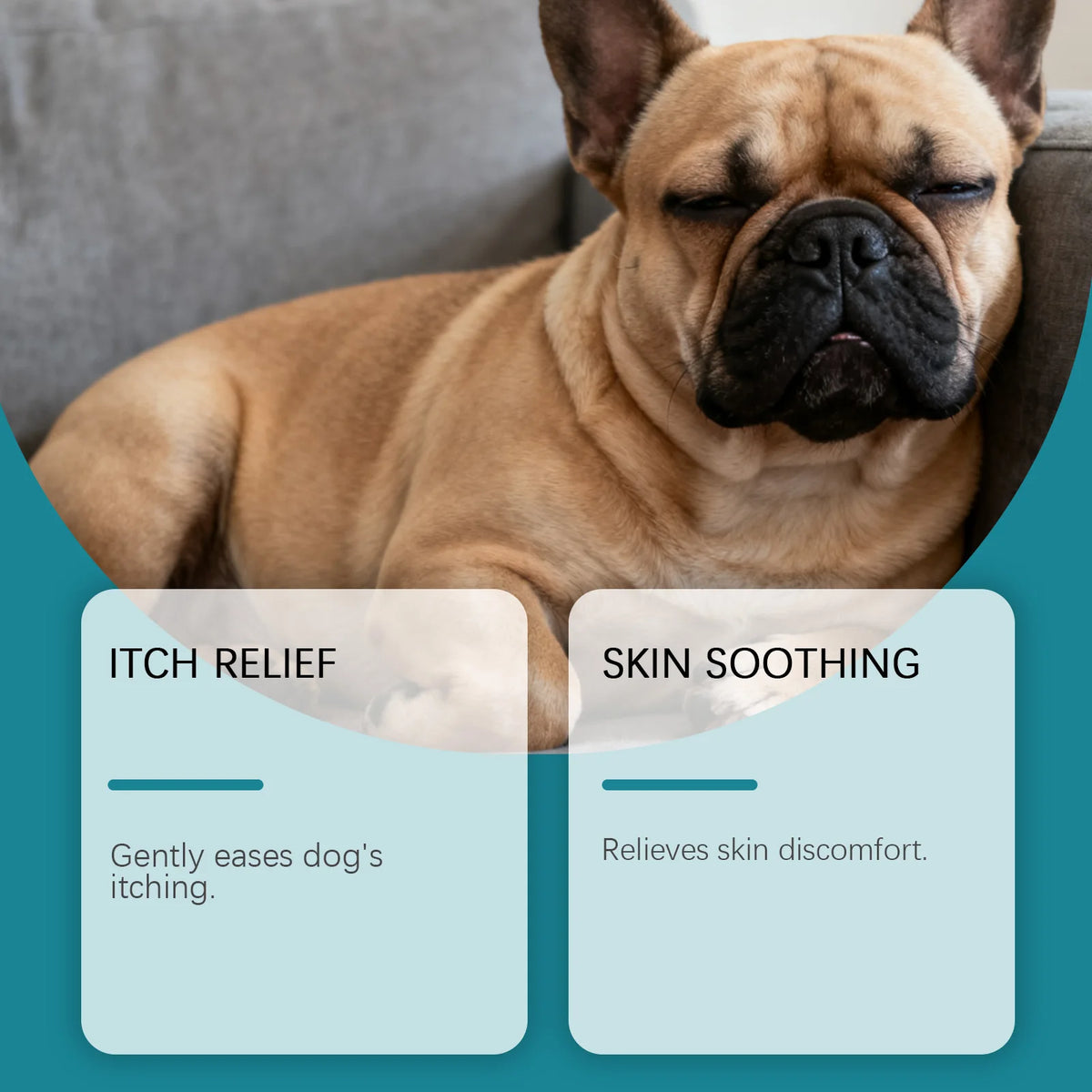 Pet Skin Care Spray for Farm Animals – Gentle Topical Relief