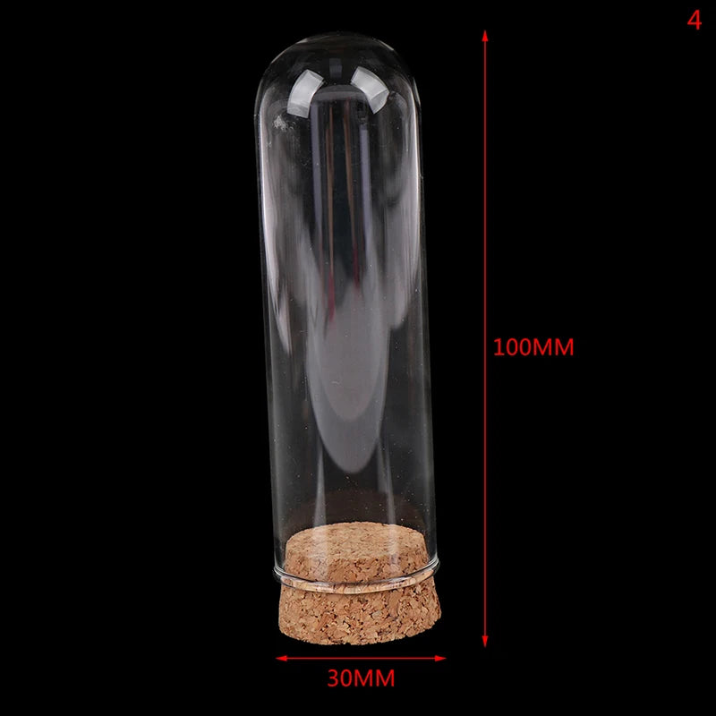 1/6 Doll Glass Dome Display Wood Cork Bell Jar With Wooden Base Decoation Craft