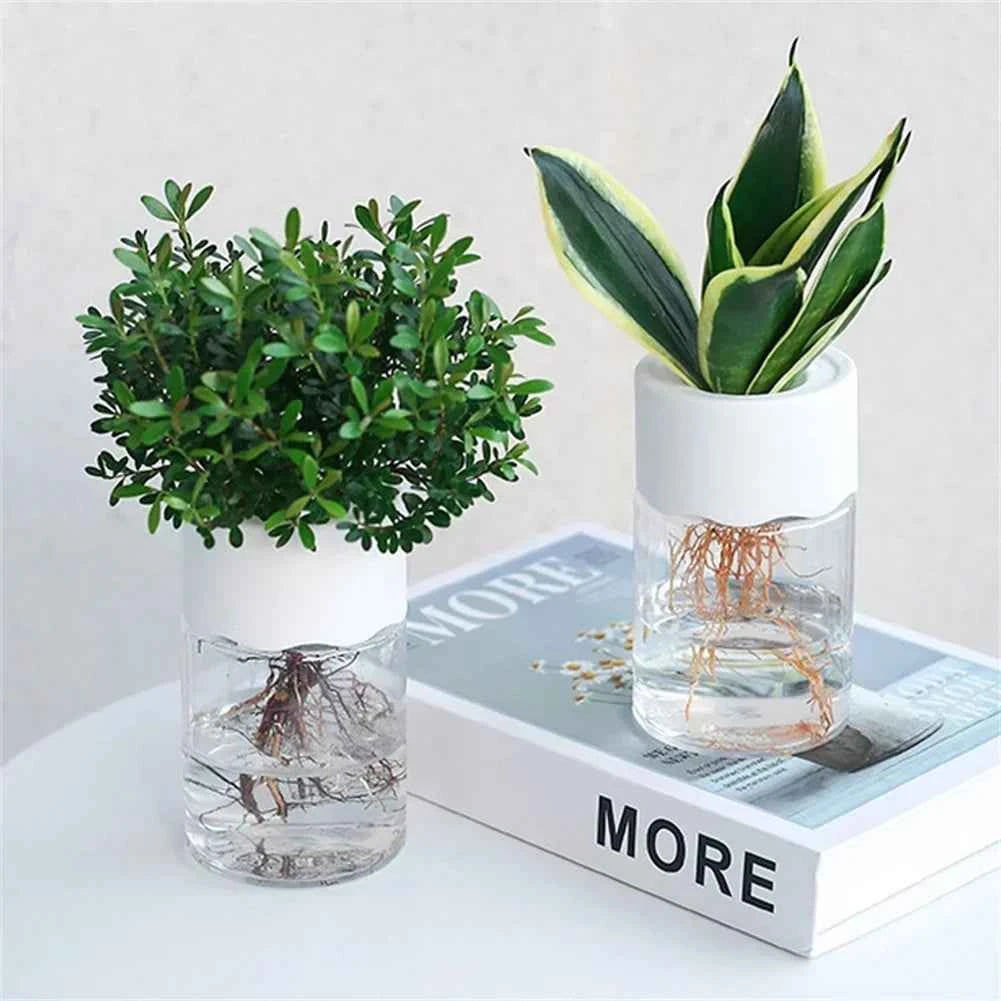 Mini Hydroponic Flower Pot Transparent Soilless Plant Vase for Home Decoration, Imitation Glass Green Plants Pot