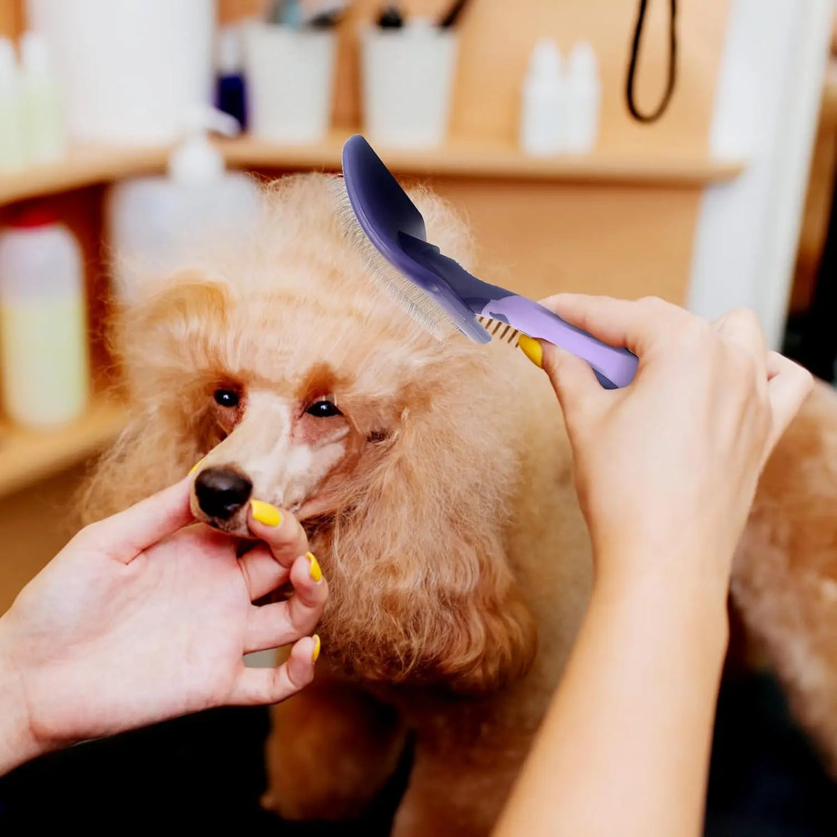 Dog Grooming Brush for Shedding and Detangling