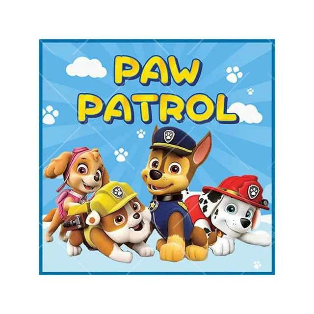 Skye Paw Patrol  Birthday Party Decoration Kids Shower Boys Girls Tableware Supplies Tablecloth Balloon Cake Topper Straw