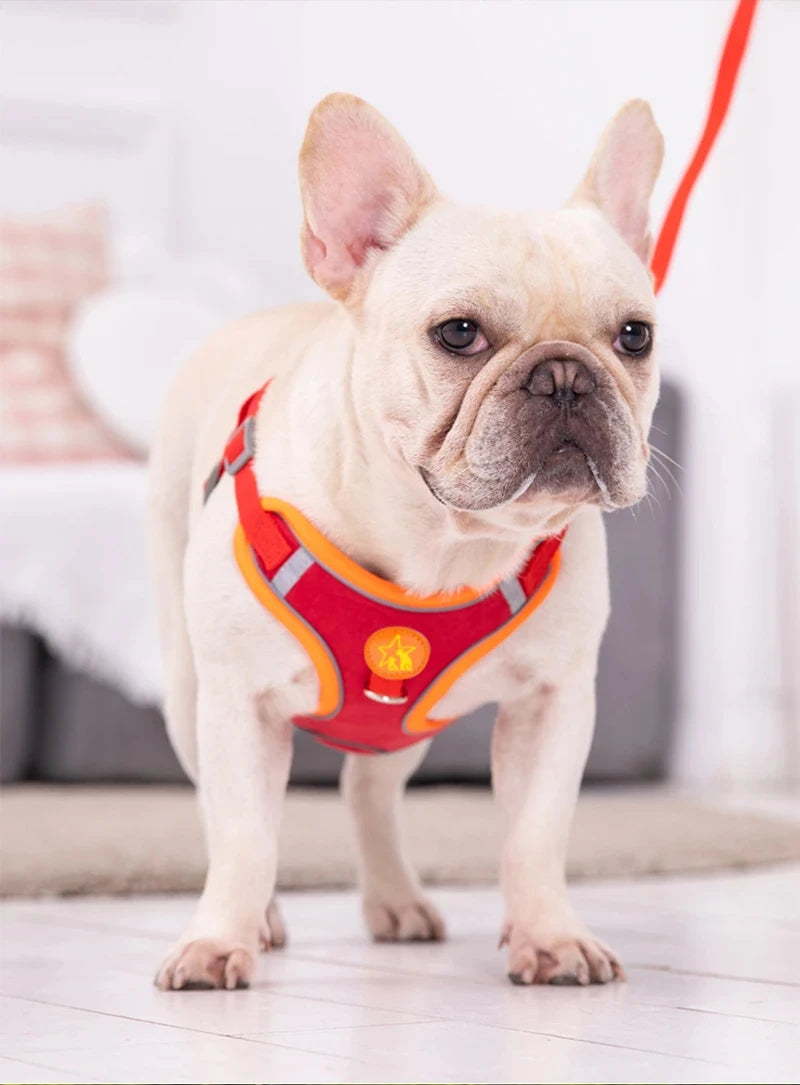 Small Medium Dogs Harness Vest Walking Traction Rope Reflective Straps, Soft Mesh Harness Breathable Pet Supplies