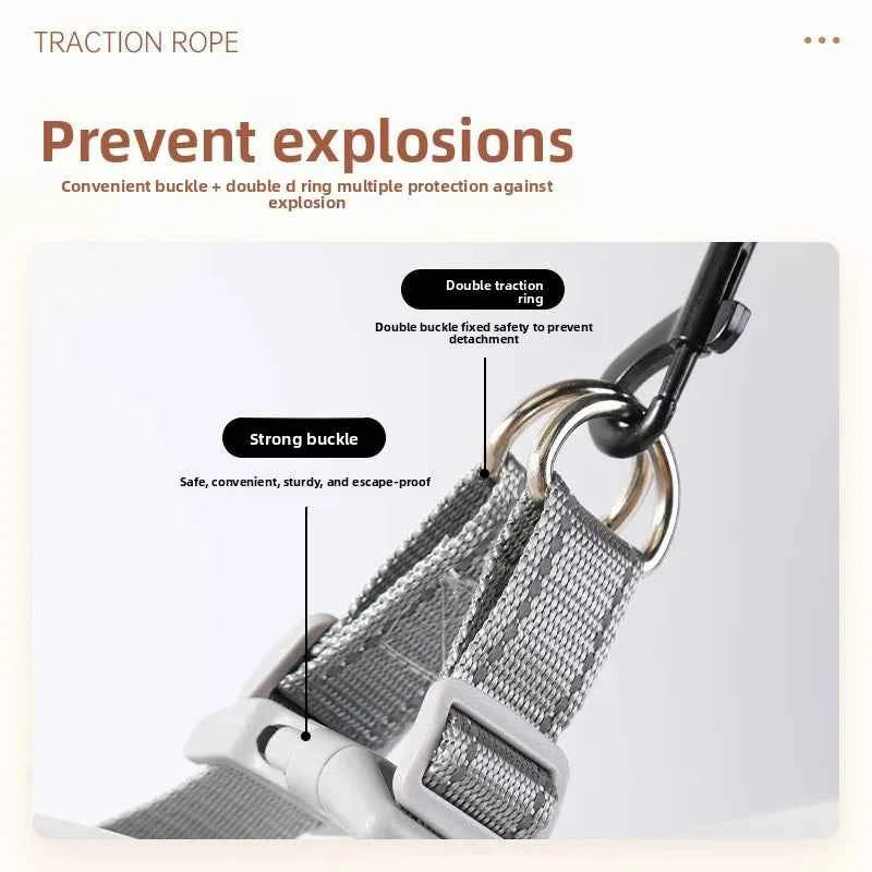 No-Pull Y-Shaped Dog Harness With Reflective Straps
