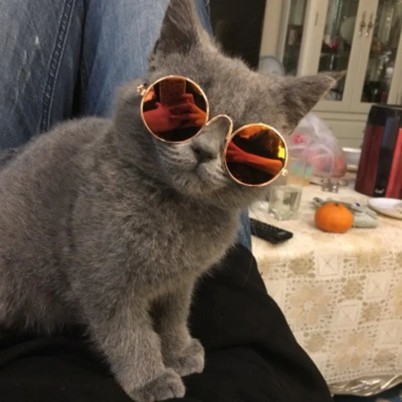 Non-Slip Cat Glasses Pet Accessories Small Dog Sunglasses Puppy Kitty Cosplay Costume Photo Props Cute Animal Eyewear
