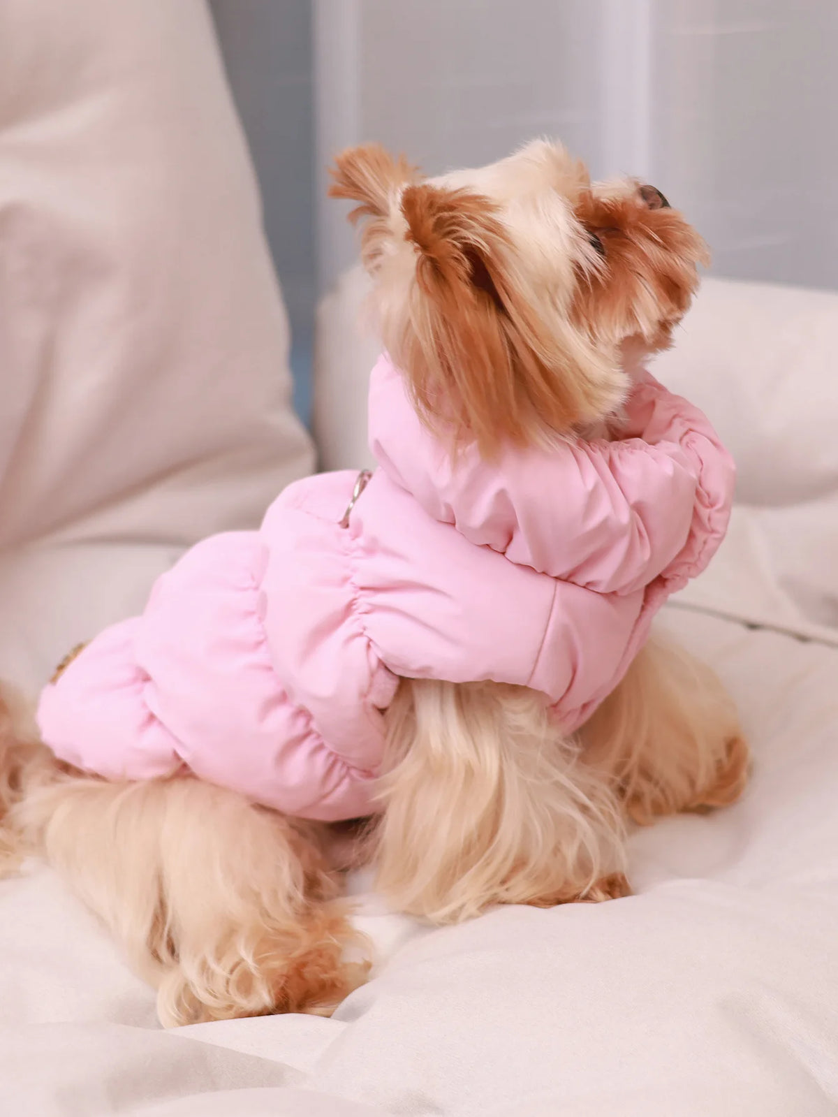 Three-Layer Winter Dog Jacket For Small And Medium Dogs