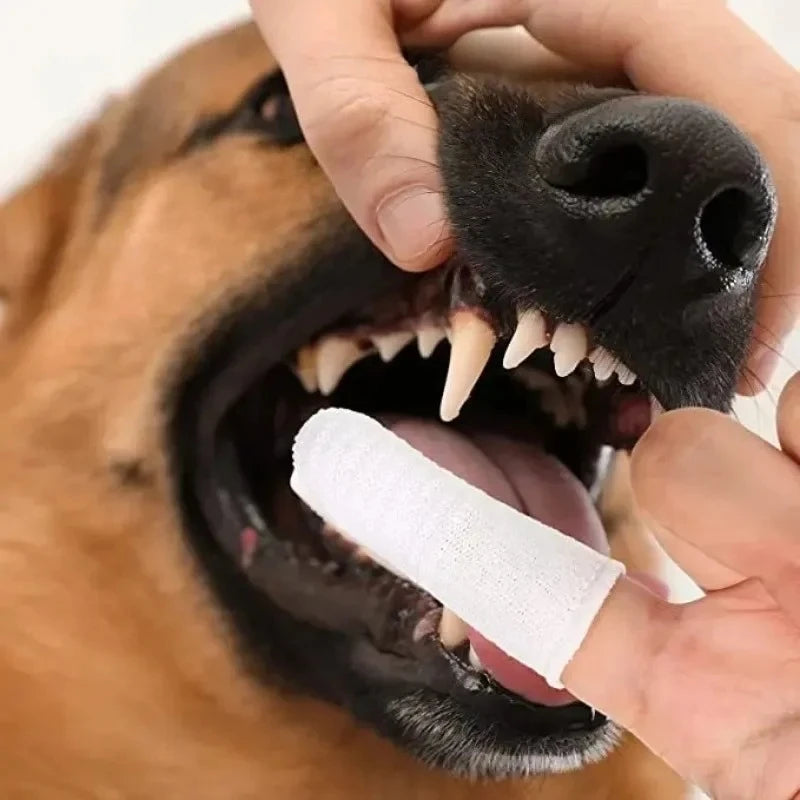 24/12pcs Pet Two-finger Brushing Finger Cots Remove Tartar Cochlear Clean for Cat Dog Toothbrush Oral Care Finger Cover Pet Care