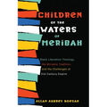 Children of the Waters of Meribah: Black Liberation Theology, the Miriamic Tradition, and the Challenges of Twenty-First-Century Empire - Hardcover