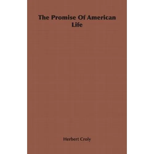 The Promise Of American Life - Paperback