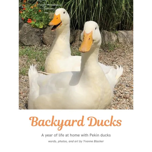 Des canards dans le jardin : Une année de vie à la maison avec des canards de Pékin - Broché