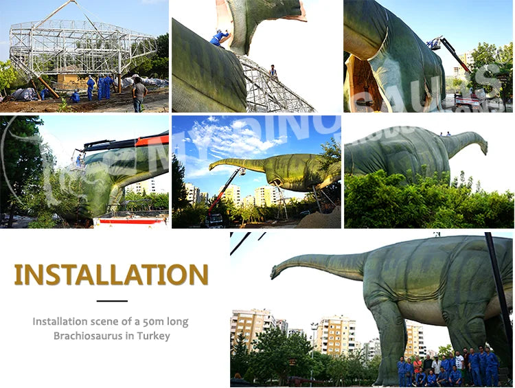 My Dino Artificial Life Size Dinosaur T-rex Head Skeleton