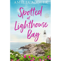 Spotted at Lighthouse Bay