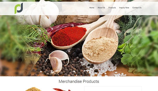 Web Care Media Enterprise E-Commerce Website Design Software for and for