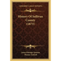 History Of Sullivan County (1873) - Paperback