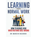 Learning from Normal Work - Paperback
