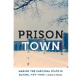 Prison Town: Making the Carceral State in Elmira, New York - Hardcover
