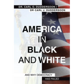 America in Black and White: And Why Democracy Has Failed - Paperback