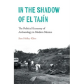 In the Shadow of El Tajín: The Political Economy of Archaeology in Modern Mexico - Paperback