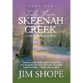 Tales From Skeenah Creek: A Civil War Historical Fiction Novel - Hardcover