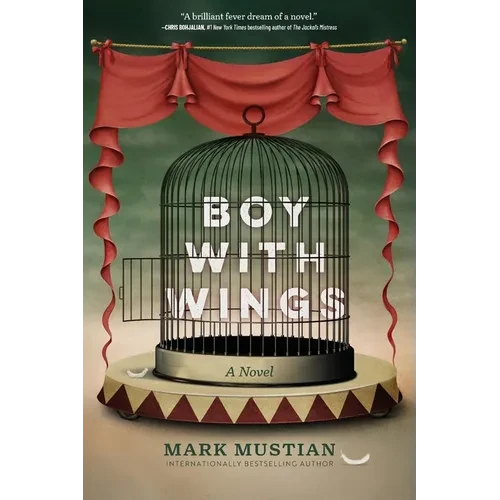 Boy With Wings - Paperback