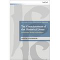 The Consciousness of the Historical Jesus: Historiography, Theology, and Metaphysics - Paperback