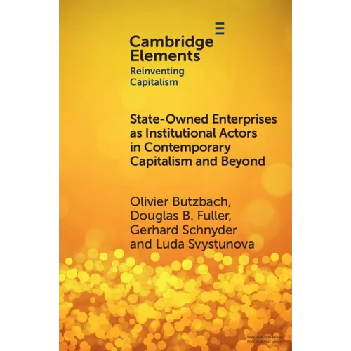 State-Owned Enterprises as Institutional Actors in Contemporary Capitalism and Beyond - Paperback