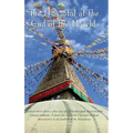 The Hospital at the End of the World - Hardcover