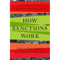 How Sanctions Work: Iran and the Impact of Economic Warfare - Hardcover
