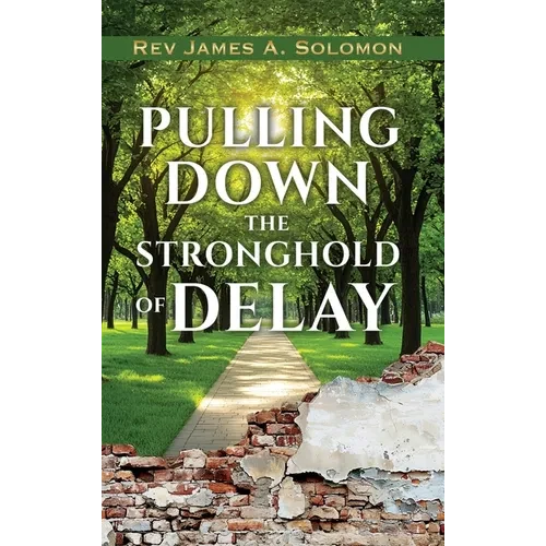 PULLING DOWN the STRONGHOLD of DELAY - Hardcover