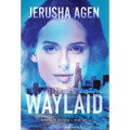 Waylaid: A Christian Romantic Suspense - Hardcover