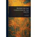 Report on the Condition of the South