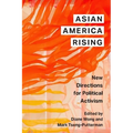 Asian America Rising: New Directions for Political Activism - Hardcover