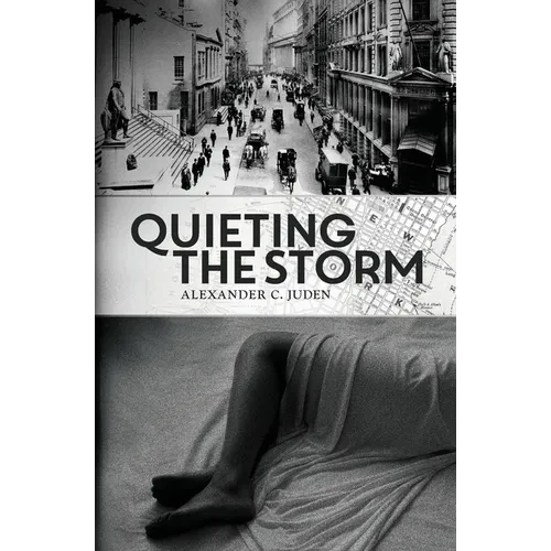 Quieting the Storm - Paperback