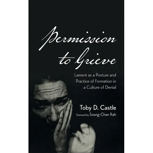 Permission to Grieve - Paperback